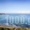 Ploes Villas_lowest prices_in_Villa_Peloponesse_Ilia_Pyrgos