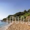 Ploes Villas_holidays_in_Villa_Peloponesse_Ilia_Pyrgos