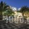 Petra Nera_holidays_in_Hotel_Cyclades Islands_Sandorini_Sandorini Chora