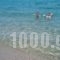 Baka's House Apartments_holidays_in_Apartment_Macedonia_Halkidiki_Nea Roda
