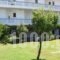 Karistos Mare Apartments_best prices_in_Apartment_Central Greece_Evia_Karystos