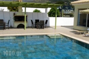 Turtle Beach Villa_best prices_in_Villa_Ionian Islands_Kefalonia_Kefalonia'st Areas