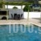 Turtle Beach Villa_best prices_in_Villa_Ionian Islands_Kefalonia_Kefalonia'st Areas