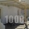 Pelican Hotel_lowest prices_in_Hotel_Cyclades Islands_Mykonos_Mykonos Chora