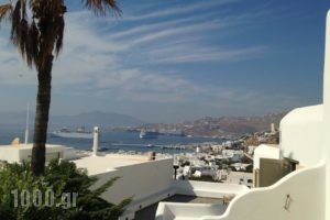 Pelican Hotel_holidays_in_Hotel_Cyclades Islands_Mykonos_Mykonos Chora