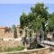 Archontiko Riziko_best deals_Hotel_Aegean Islands_Chios_Chios Rest Areas