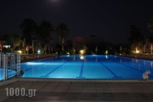 Chrysoula Hotel_holidays_in_Hotel_Dodekanessos Islands_Kos_Kos Rest Areas