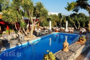 Vasilaras Hotel_travel_packages_in_Piraeus islands - Trizonia_Aigina_Aigina Rest Areas