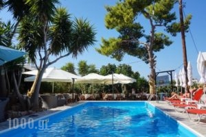 Vasilaras Hotel_holidays_in_Hotel_Piraeus islands - Trizonia_Aigina_Aigina Rest Areas