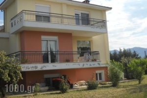 Villa Maria_accommodation_in_Villa_Macedonia_Thessaloniki_Loutra Lagkada