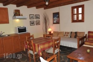 Porto Lafia Apartments_best deals_Apartment_Central Greece_Evia_Nea Stira