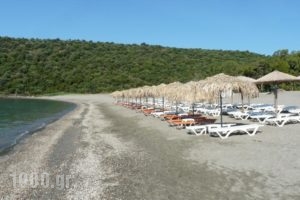 Ktima Petalea_best prices_in_Hotel_Peloponesse_Lakonia_Gythio
