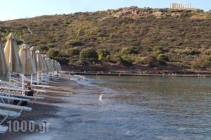 Aegeon Beach Hotel_best deals_Hotel_Central Greece_Attica_Athens