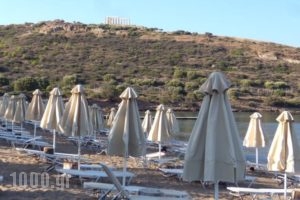 Aegeon Beach Hotel_holidays_in_Hotel_Central Greece_Attica_Athens