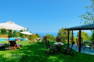 Guesthouse Theareston_lowest prices_in_Hotel_Thessaly_Magnesia_Agios Georgios Nilias