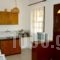 Sonia Studios_best deals_Hotel_Aegean Islands_Lesvos_Polihnitos