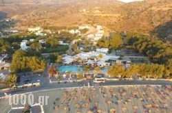 Far Out Camping in Aigina Rest Areas, Aigina, Piraeus Islands - Trizonia