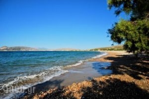 Sardis Apartments_travel_packages_in_Cyclades Islands_Kimolos_Kimolos Rest Areas
