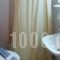 Hotel King Pyrros_best deals_Hotel_Epirus_Ioannina_Ioannina City