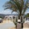 Surf Beach Apartments_travel_packages_in_Crete_Lasithi_Palaekastro