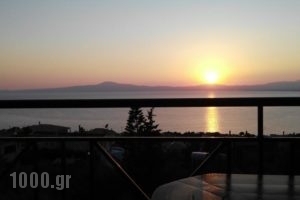 Galini Apartments_best prices_in_Apartment_Peloponesse_Messinia_Kalamata