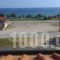 Baka's House Apartments_travel_packages_in_Macedonia_Halkidiki_Nea Roda