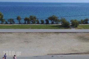 Baka's House Apartments_best prices_in_Apartment_Macedonia_Halkidiki_Nea Roda