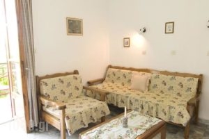 Apartment Dionysos_accommodation_in_Apartment_Aegean Islands_Lesvos_Mythimna (Molyvos