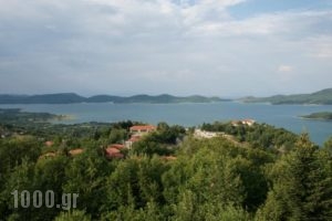 Thea Guesthouse_lowest prices_in_Hotel_Thessaly_Karditsa_Neochori