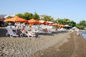 Pension Akrogiali_best deals_Hotel_Central Greece_Evia_Amaranthos