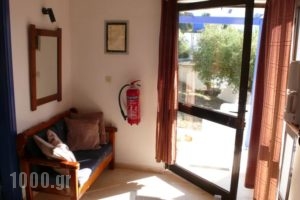 Stefanos Garden_best prices_in_Hotel_Crete_Chania_Fournes