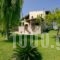 Villa Russelia_best deals_Villa_Dodekanessos Islands_Halki_Halki Chora