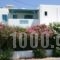 Ragousis Apartments_holidays_in_Apartment_Cyclades Islands_Paros_Paros Chora