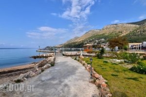 Elenas Apartments_holidays_in_Apartment_Ionian Islands_Paxi_Paxi Chora