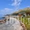 Elenas Apartments_holidays_in_Apartment_Ionian Islands_Paxi_Paxi Chora