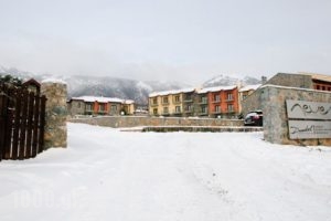 Domotel Neve Mountain Resort' Spa_best deals_Hotel_Macedonia_Pella_Edessa City