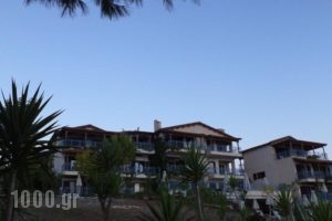 Trizonia Beach Hotel_lowest prices_in_Hotel_Central Greece_Fokida_Eratini