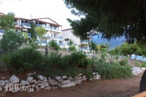 Trizonia Beach Hotel_travel_packages_in_Central Greece_Fokida_Eratini