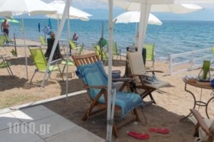 Kassimiotis_holidays_in_Hotel_Thessaly_Magnesia_Pilio Area