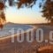 Thalassa Naxos_best prices_in_Hotel_Cyclades Islands_Naxos_Naxos chora