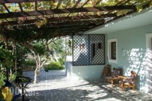 Nina Studios_holidays_in_Room_Dodekanessos Islands_Karpathos_Lakki