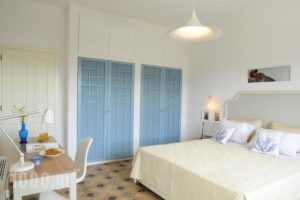 Villa Aeriko_lowest prices_in_Villa_Crete_Chania_Chania City