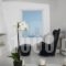 Oleandri Villa_lowest prices_in_Villa_Cyclades Islands_Mykonos_Mykonos Chora