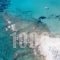 Acqua Marina Resort_travel_packages_in_Cyclades Islands_Antiparos_Antiparos Chora