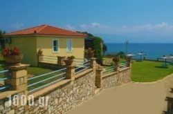 Alexandros Apartments in Pilio Area, Magnesia, Thessaly