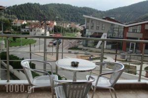 Kyknos De Luxe Suites_best deals_Hotel_Macedonia_kastoria_Kastoria City