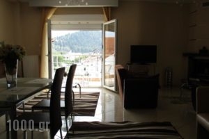 Kyknos De Luxe Suites_best prices_in_Hotel_Macedonia_kastoria_Kastoria City