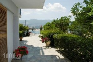 Drossinos Studios_holidays_in_Hotel_Piraeus Islands - Trizonia_Trizonia_Trizonia Rest Areas