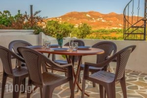 Villa Kelly Apartments_best prices_in_Villa_Cyclades Islands_Naxos_Naxos Chora