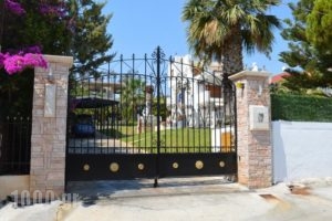 Villa Anna_lowest prices_in_Villa_Central Greece_Attica_Athens